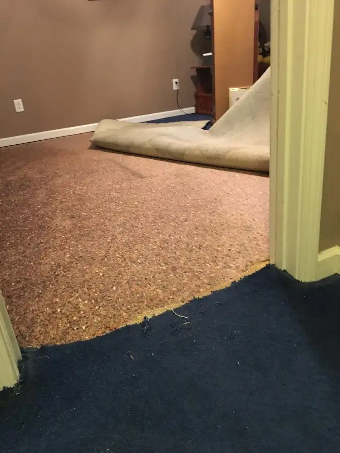 Carpet pad removal revealing water damage during Drying & Dehumidification in Rockdale