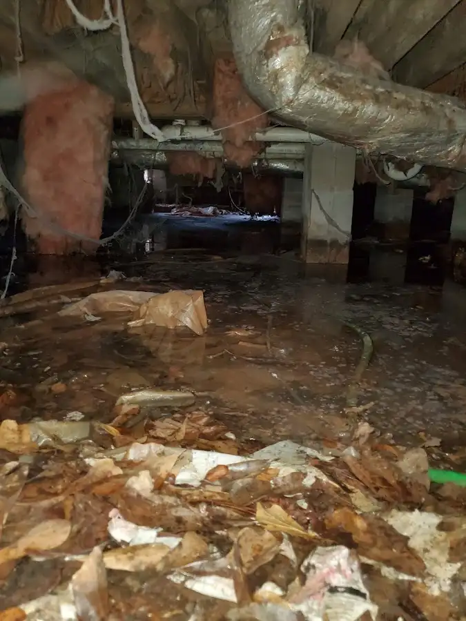 Crawl space flood assessment for Leak Detection & Repair in Rockdale